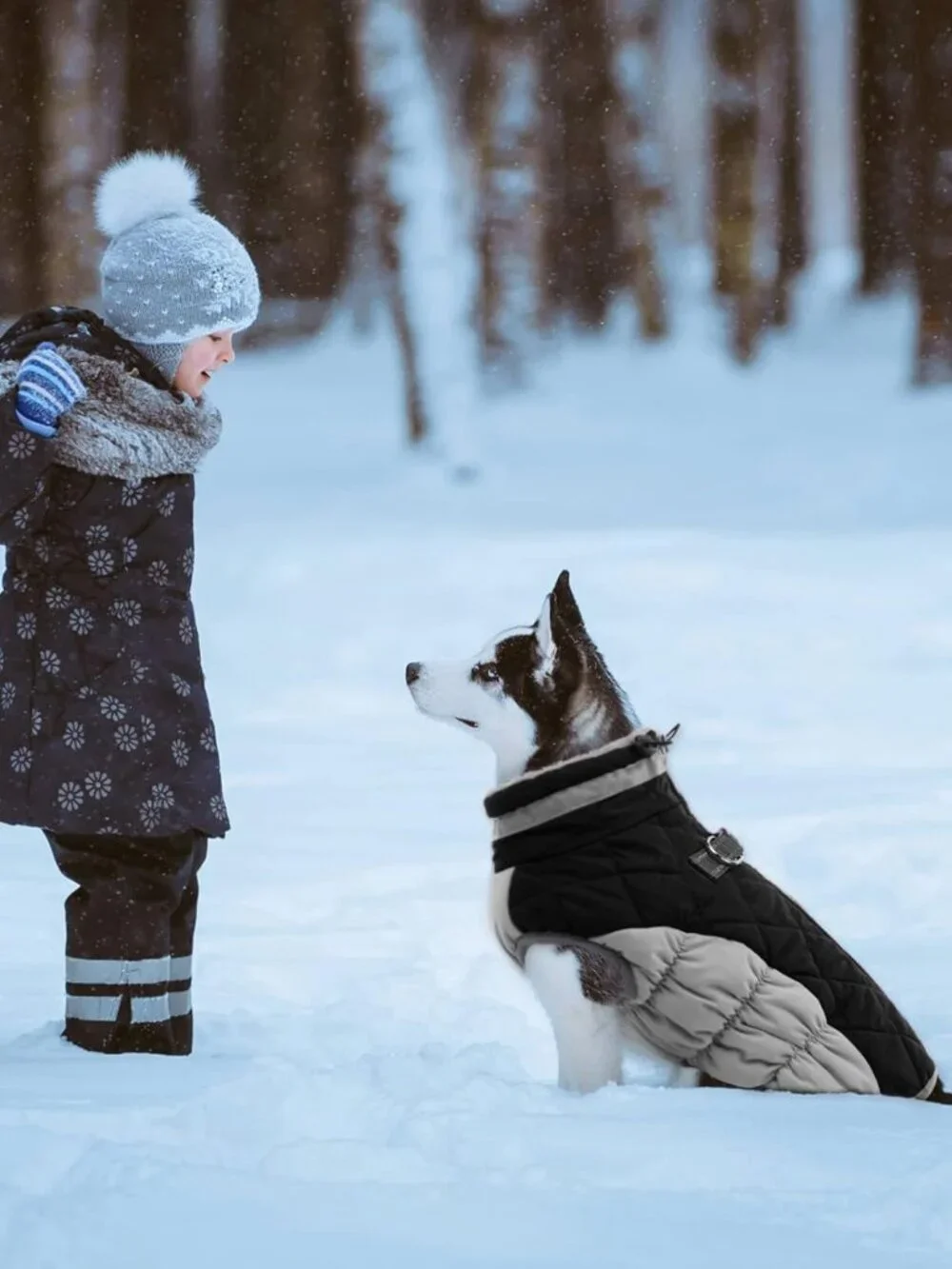 Lelepet Dog Coat